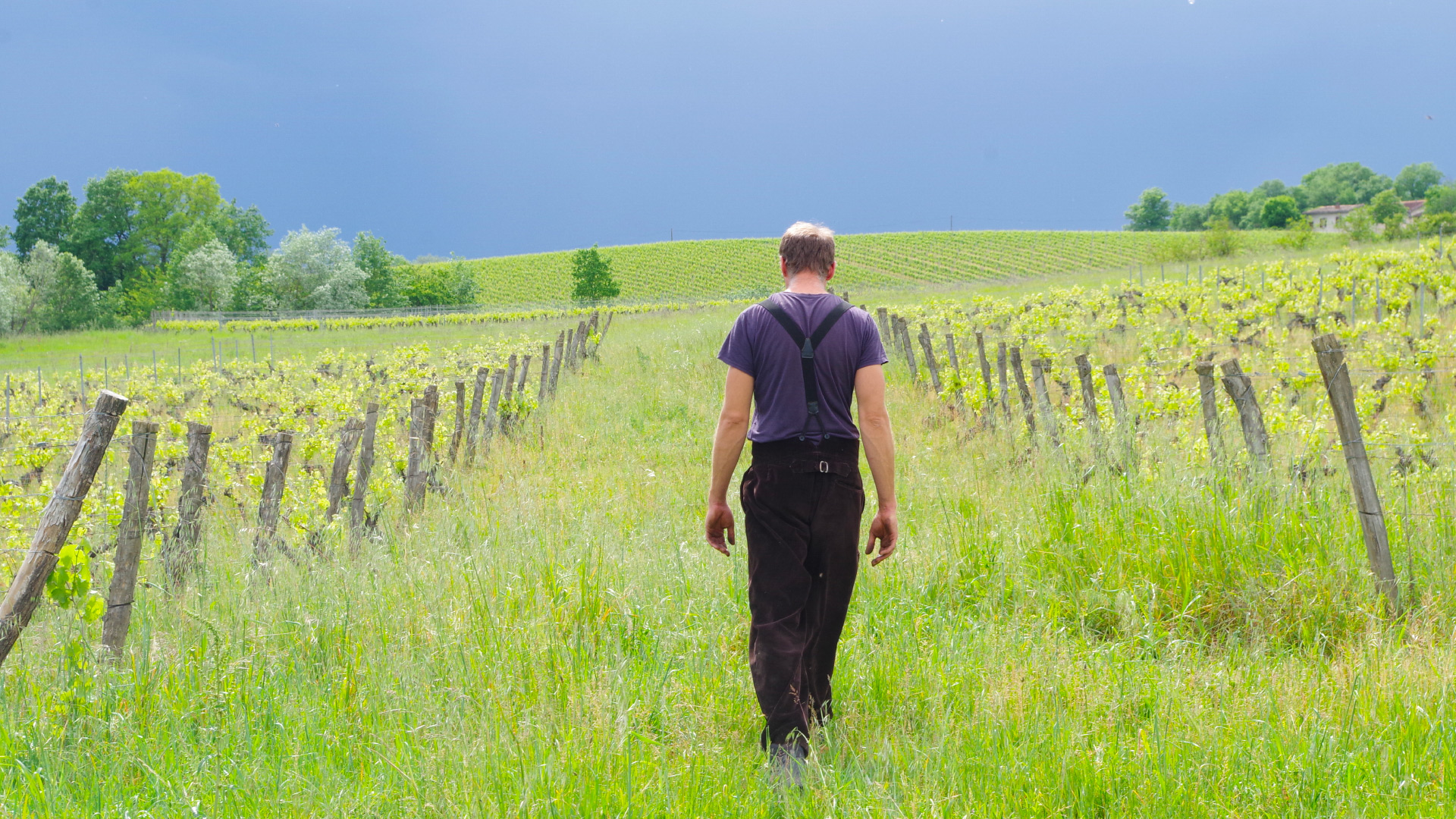Olivier Lignon vigneron Domaine Ambre en biodynamie dans le Tarn près de Gaillac