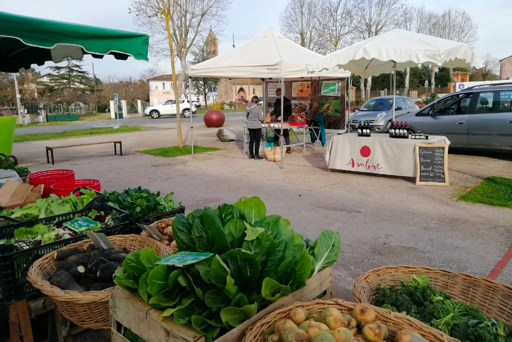 stand marché vins rouge biodynamie Domaine Ambre Occitanie
