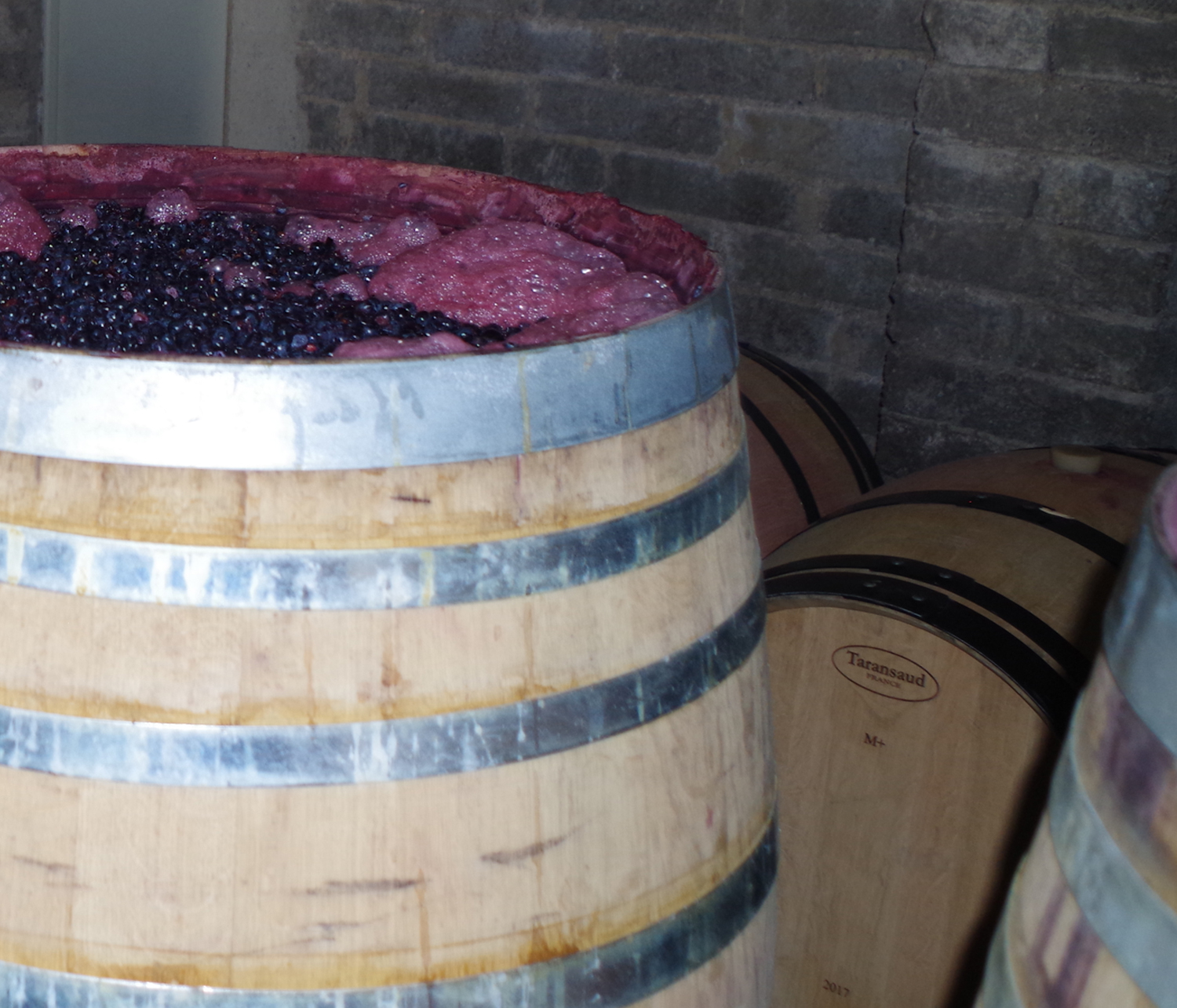 vin rouge naturel élevage fut de chene domaine Ambre en biodynamie